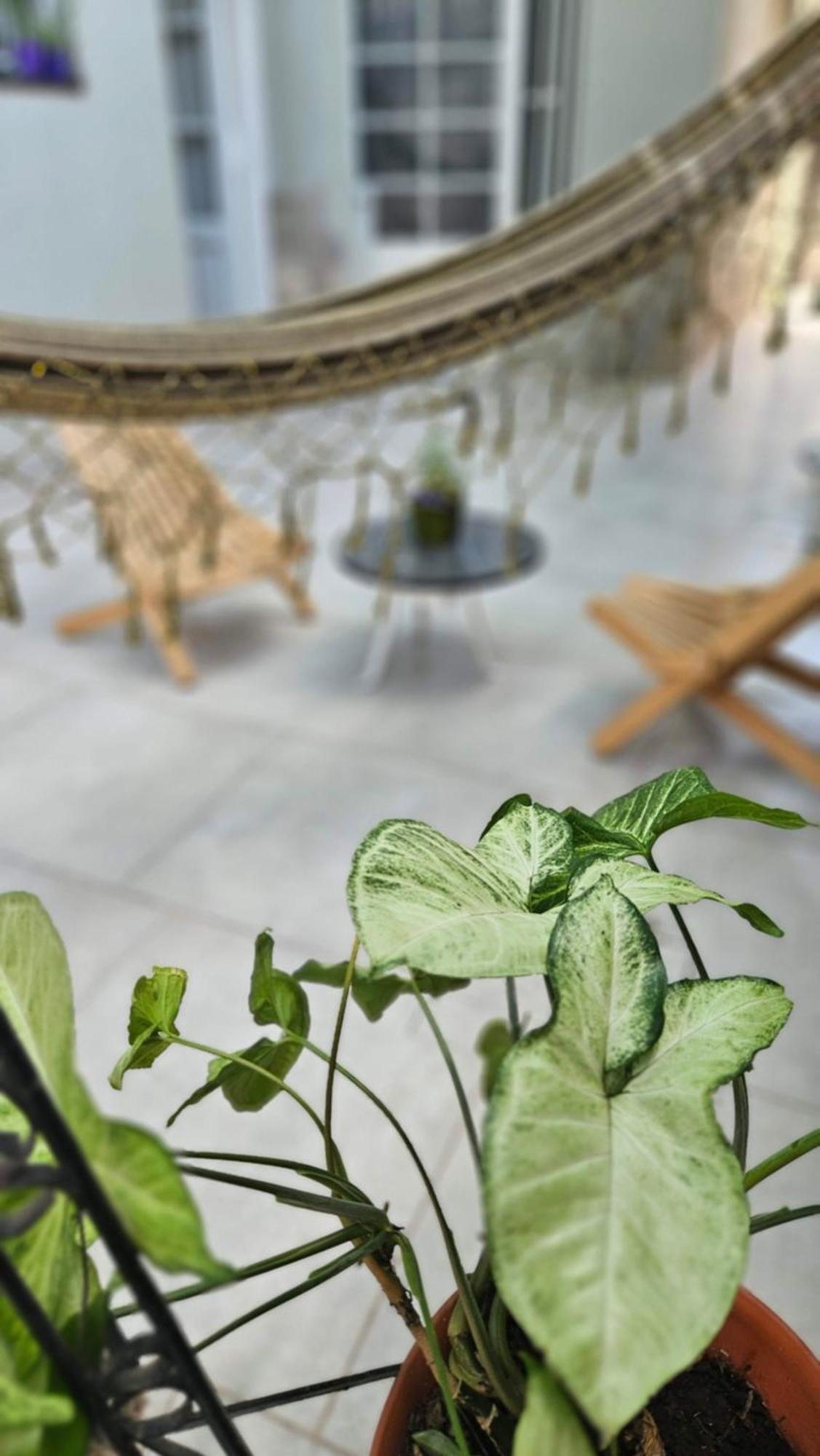 Casa San Carlos Holiday home